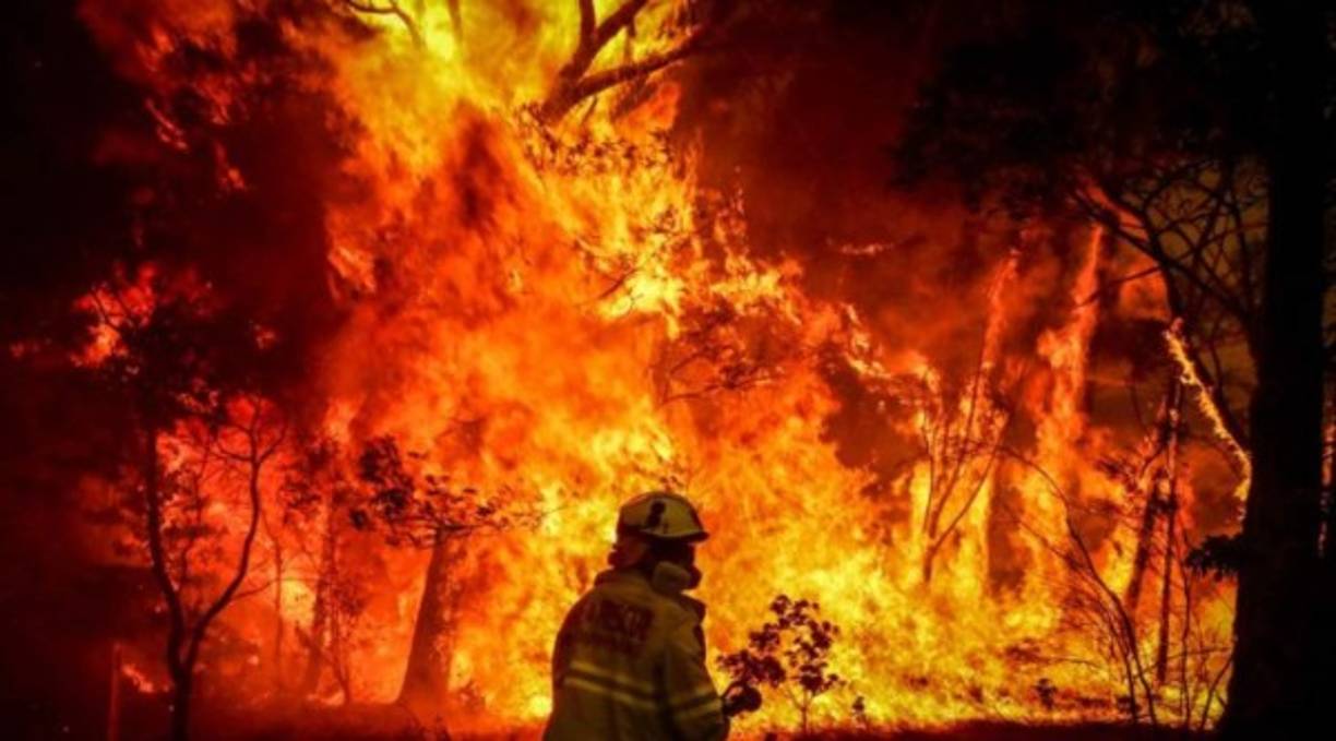 Australia está sufriendo una de sus peores catástrofes en la historia, se estima que 5 millones de hectáreas han quedado calcinadas.