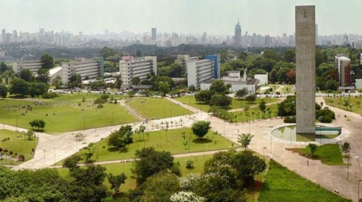 2. La universidad de Campinas en Sao Paulo, Brasil. Según el THE el éxito de Brasil a nivel universitario se debe a sus publicaciones de calidad, su elevada producción de patentes y su alto gasto en investigación y desarrollo en relación al producto bruto interno (1,15%).
