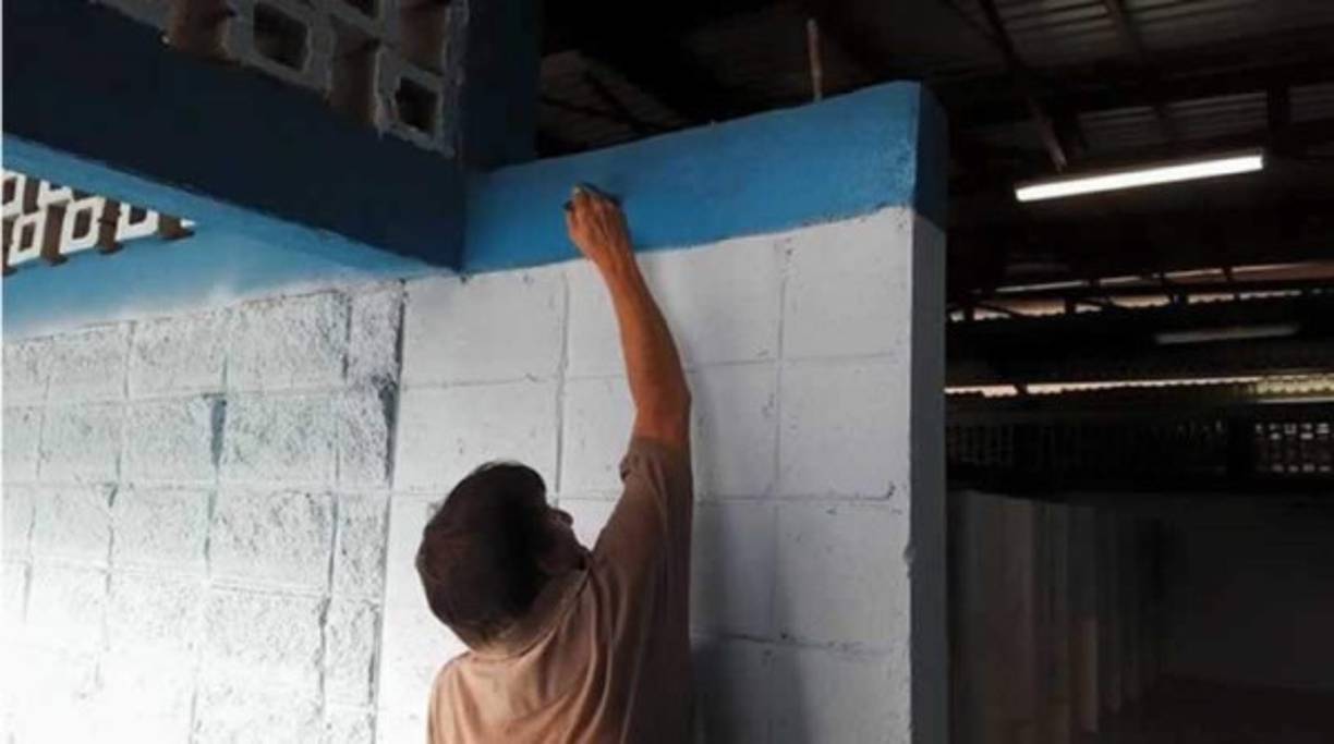 Muchos sectores del estadio Olímpipco han sido pintados y remodelados.