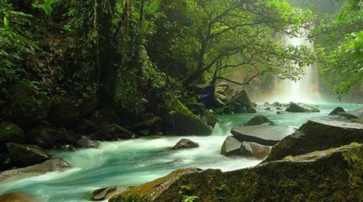 La descripción bíblica dice que en el paraíso nacía un río que regaba el jardín, y que se dividía en otros cuatro: el río Pisón, que habría rodeado la zona de Havila (que sería Arabia); el río Gihón, que hacía lo mismo con el área de Cus (que sería Etiopía); el río Hidekel (que sería el río Tigris); y el río Éufrates.