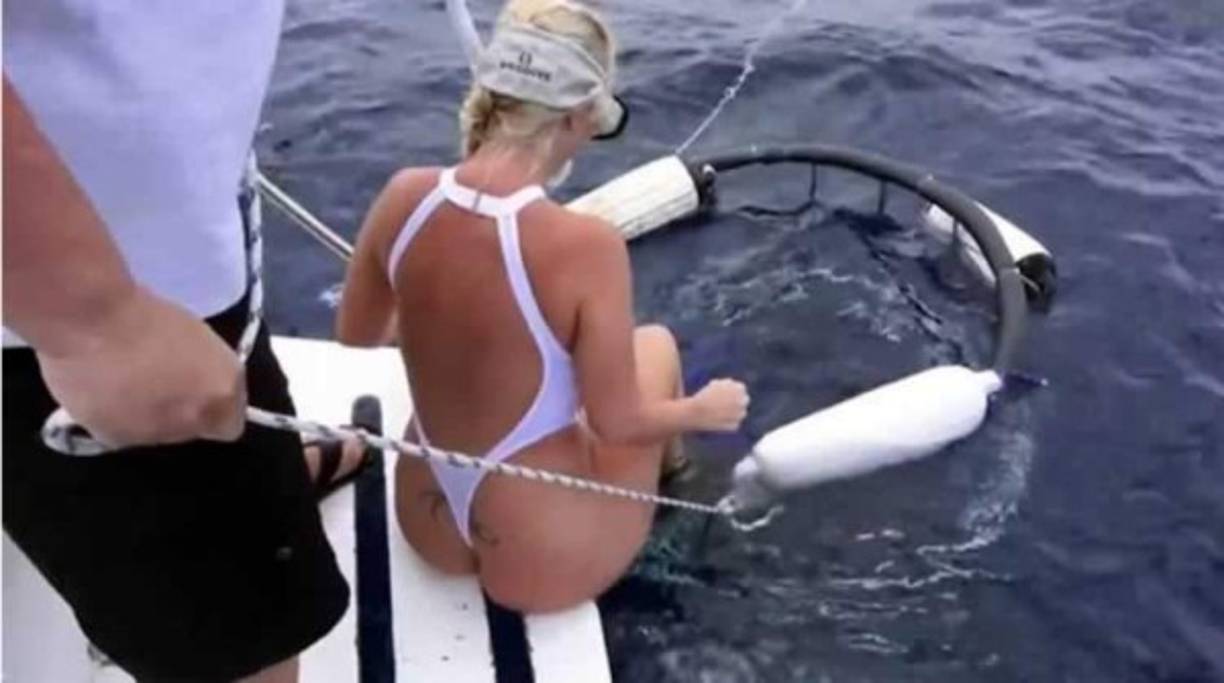 Uno de los animales que nadaban a su alrededor pudo morder su pie y provocarle una gran pérdida de sangre.