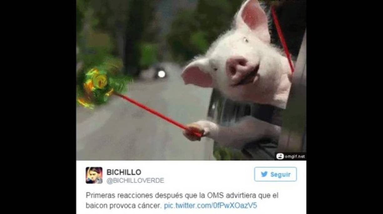 Los más felices son los cerditos. La población ya fue alertada de que el excesivo consumo de carnes rojas puede incrementar el riesgo de padecer cáncer de estómago, colon y próstata.