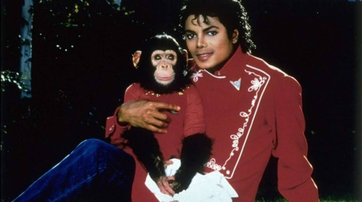 51. La mascota mas famosa de Jackson fue el chimpancé Bubbles.<br/><br/>52. Jackson fue padre de dos hijos con Deborah Jeanne Rowe: Michael Joseph Jackson Junior (Conocido como 'Prince') y París Michael Katherine Jackson. El último fue Prince Michael II Blanjet Jackson que no se conoce quien es su verdadera madre.<br/><br/>53. La pareja se divorció en 1999 y Rowe dio pleno derecho de custodia a Jackson.<br/><br/>54. Su primera autobiografía, Moon Walk, tardó cuatro años para completar.<br/><br/>55. El libro llegó al Top de la lista de los best-sellers de The New York Times.<br/><br/>