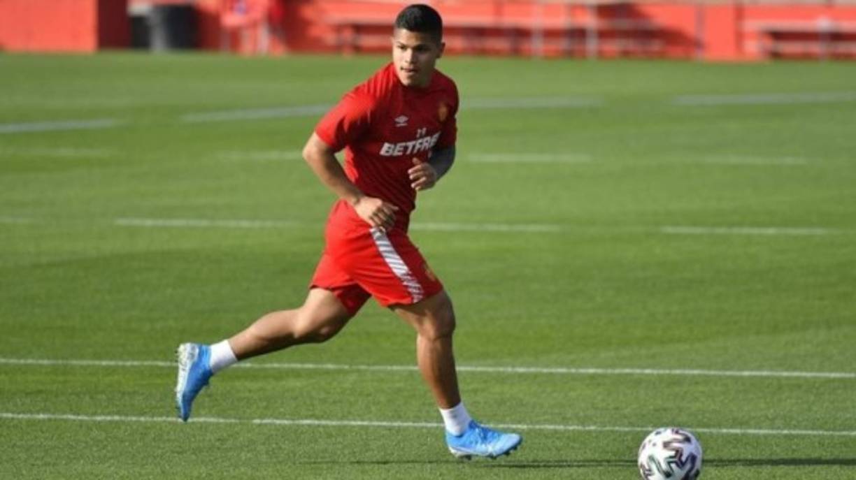 Uno de los nombres que maneja Osasuna para reforzar su delantera es el del venezolano ‘Cucho’ Hernández, que esta temporada ha militado en el Mallorca cedido por el Watford.<br/>