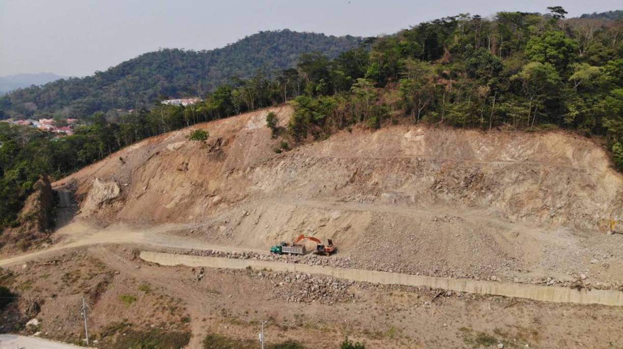 La zona es un bosque seco, al parecer el único que existe en el municipio de San Pedro Sula, por lo que desde el punto de vista forestal lo coloca en un estatus muy alto para ser conservado.