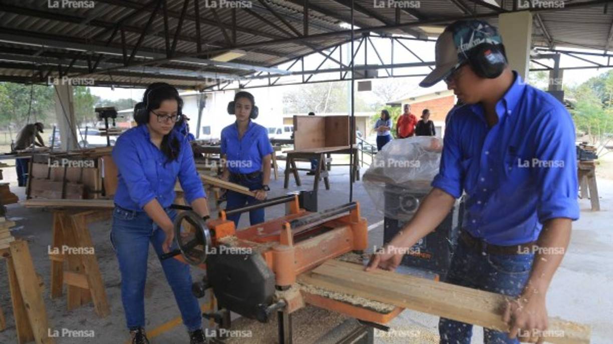 En la actualidad, la población estudiantil supera los 1,200 jóvenes. Los tres primeros años comprenden estudios generales de las cuatro carreras profesionales ofrecidas por Zamorano en el cual los estudios son repartidos en diversas asignaturas.