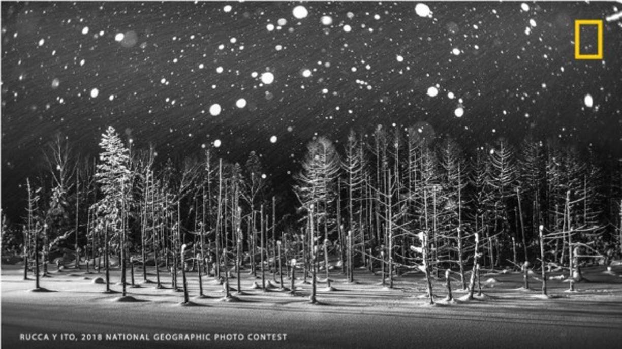 Copos de Nieve: El estanque azul de Japón en Biei-cho, Hokkaido, se ha hecho muy famoso por atraer turistas de todo el mundo. Está rodeado de hermosas montañas y árboles. Este estanque, congelado durante el invierno, se hizo artificialmente para evitar la contaminación del río desde el volcán activo cercano, el Monte Tokachi. El agua acumulada del estanque contiene altos niveles de minerales, como los que contienen aluminio. La vista seductora del estanque azul puede quitarle el aliento.