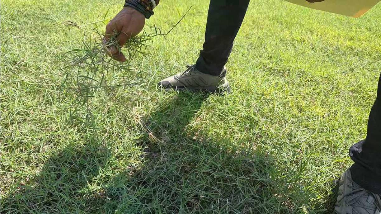 Mario Moncada se mostró preocupado por las condiciones del nuevo césped del estadio Morazán de San Pedro Sula.