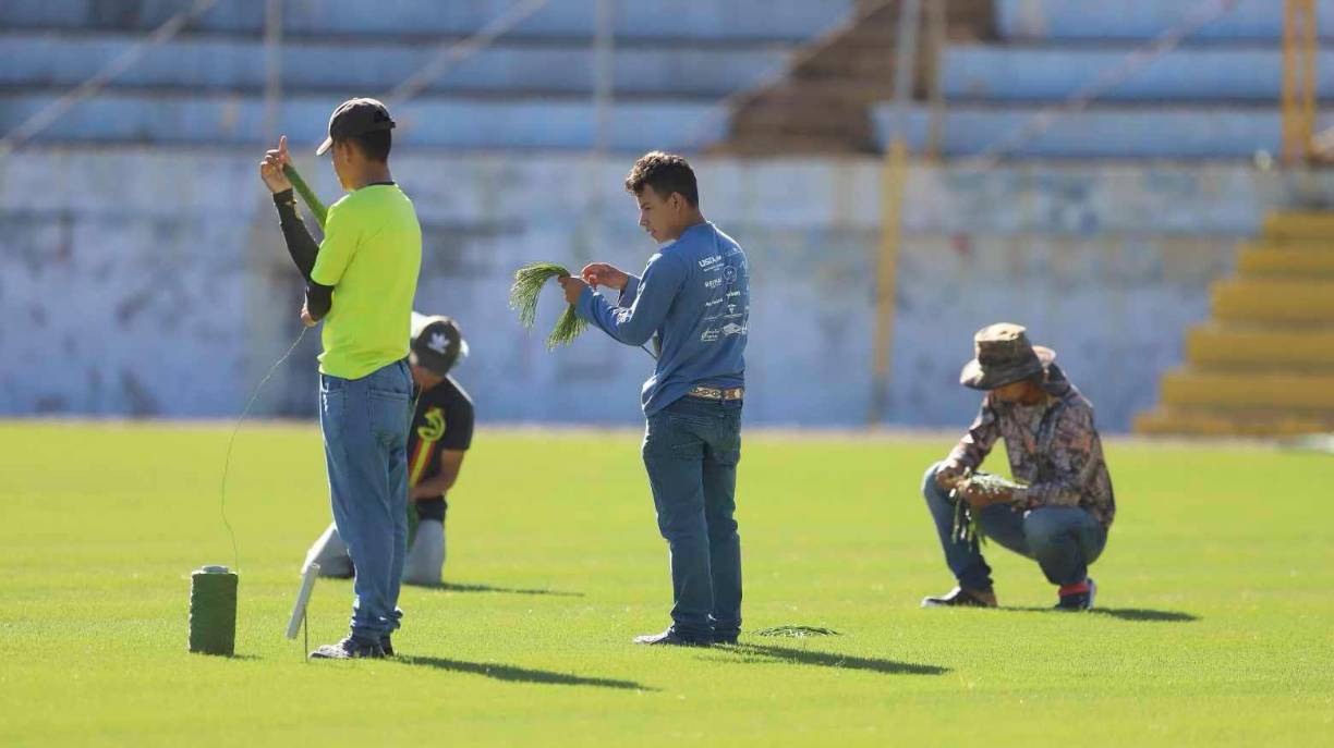 Diario LA PRENSA se adentro en las instalaciones del estadio Francisco Morazán para monitorear el cosido de la nueva grama.