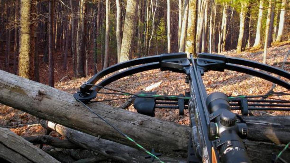 Según información del Ministerio del Interior británico, mencionada por la BBC, entre 2001 y 2021 se registraron al menos 10 asesinatos con ballestas en el Reino Unido. 