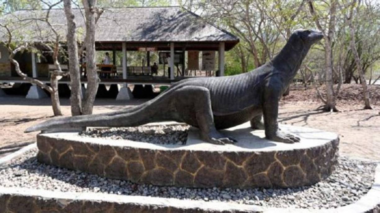 Voceros de la UNESCO advirtieron que el proyecto requiere de estudios de impacto ambiental. Prevén que tenga efectos negativos y genere actividades de pesca ilegal. También consideran que los mismos dragones se verían afectados, algo que desestima Indonesia.