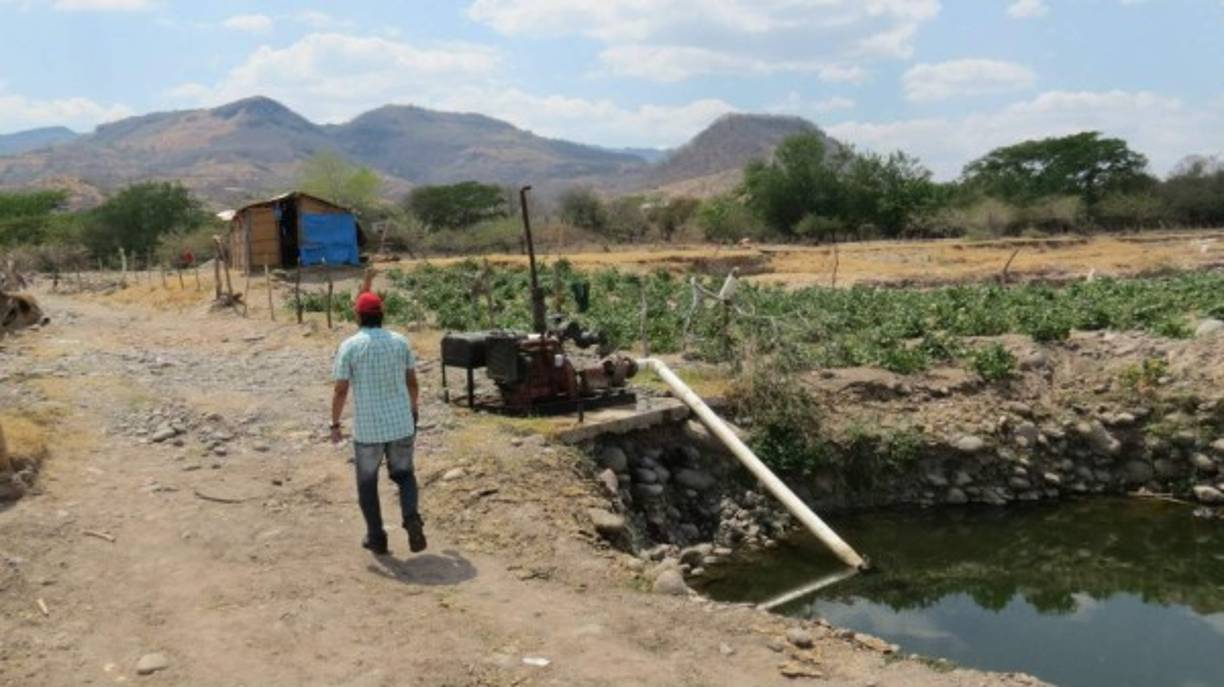 La alarma en Choluteca se activó esta semana después que circularan imágenes donde se está secando.