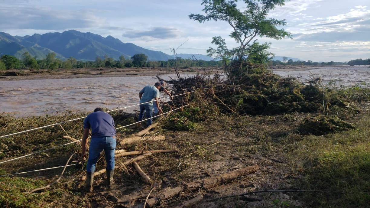 Esto sucede en medio de un panorama con seis muertos y 207,863 afectados debido a la reciente tormenta tropical Sara, que además dejó daños por al menos 500 millones de lempiras en pérdidas en infraestructura.