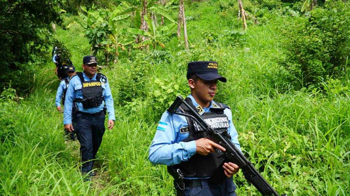 ”El departamento en donde más plantaciones de hoja de coca se han hecho es en Colón, le sigue Atlántida, Olancho, Yoro, Cortés y Santa Bárbara”, reveló Molina.