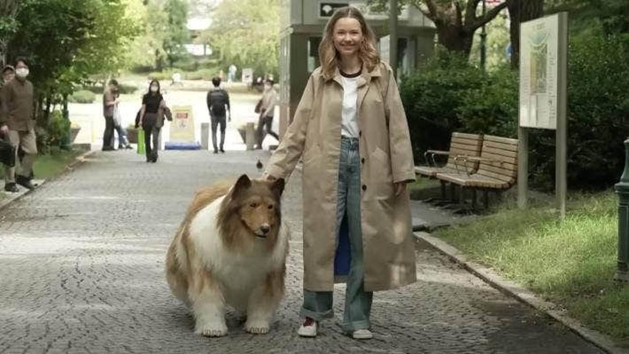 Incluso, ha intentado comer concentrado y, en uno de sus videos más llamativos, se muestra incómodo al ingresar a su "jaula" por las noches.