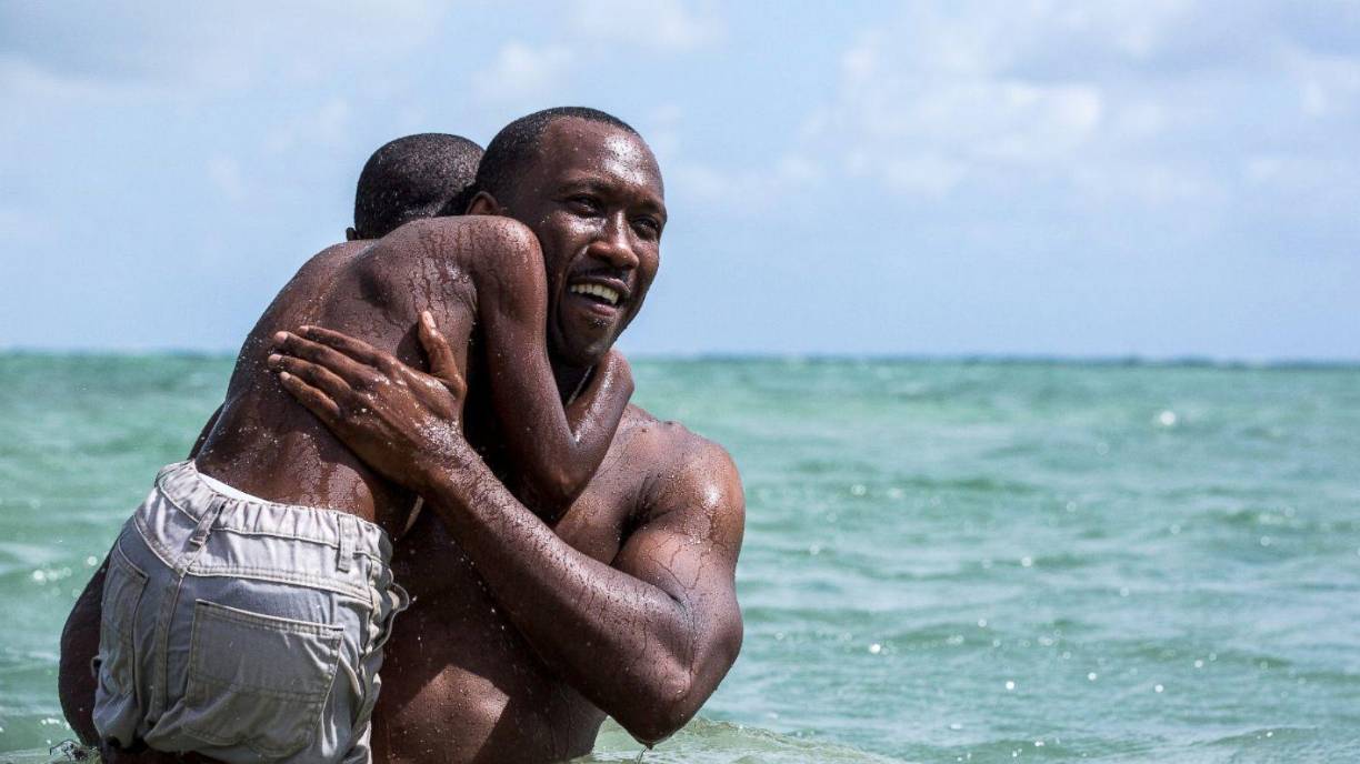 - Moonlight:Esta fue la acreedora al premio Oscar a la mejor película en la gala de 2017. Sin embargo, todo el mundo daba por hecho que la ganadora sería La La Land. Pero la sorpresa la dieron Faye Dunaway y Warren Beatty cuando se confundieron de sobre y leyeron el de mejor actriz a Emma Stone en lugar del sobre con el Oscar a la mejor película, por lo que pronunciaron, equivocadamente, el título de La La Land en lugar de Moonlight. 
