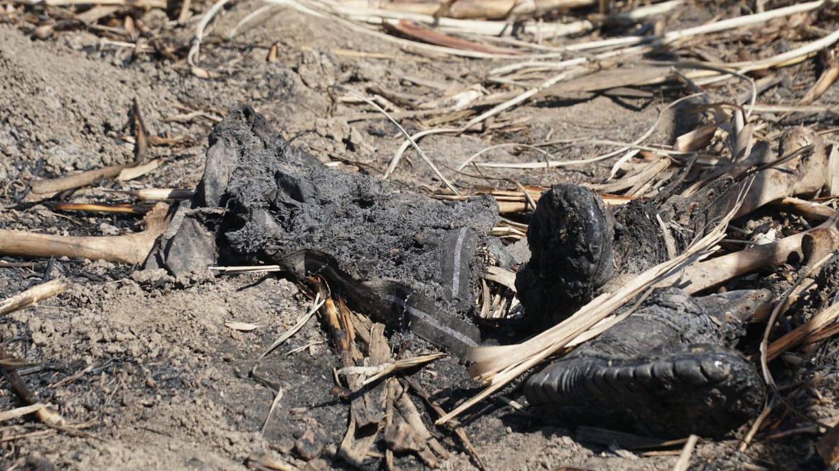 En el hallazgo reportado este martes, fotografías obtenidas por este rotativo, muestran algunas prendas de vestir y zapatos que cargaban las personas al momento que fueron asesinadas y lanzadas en dichos terrenos donde se cultiva la caña de azúcar. 