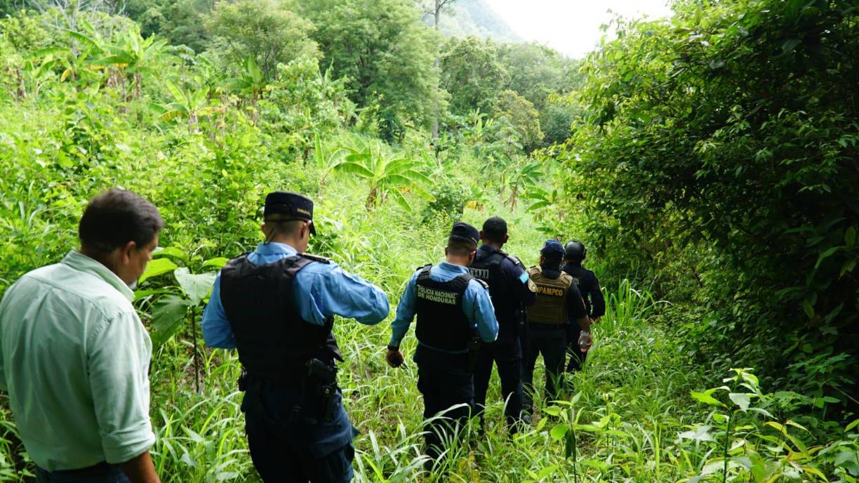 Mario Molina, jefe de la Dipampco, quien en el pasado fue jefe antidrogas estima que en año y medio en este lugar podrían haber producido unos 400 kilos de pasta.