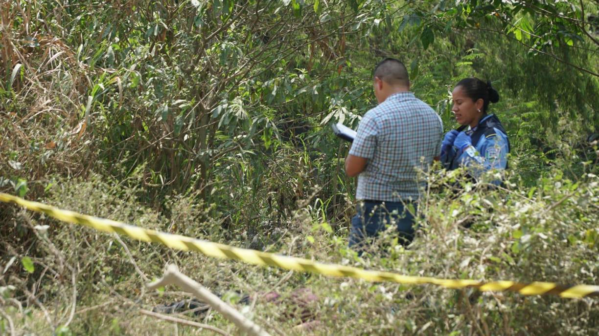 Un hondureño fue asesinado a disparos la mañana de este miércoles en San Pedro Sula. 