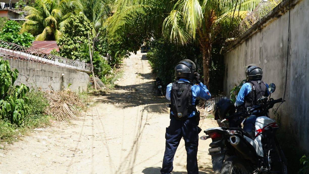 El responsable de los crímenes sería un hombre cuyo oficio es guardia de seguridad, identificado como Carlos Quintanilla, y quien resultó herido con un cuchillo que utilizó Bertha Murcia en un intento por salvar su vida y la de su nieto, quedando gravemente herido. Ambos fueron trasladados a un centro asistencial.