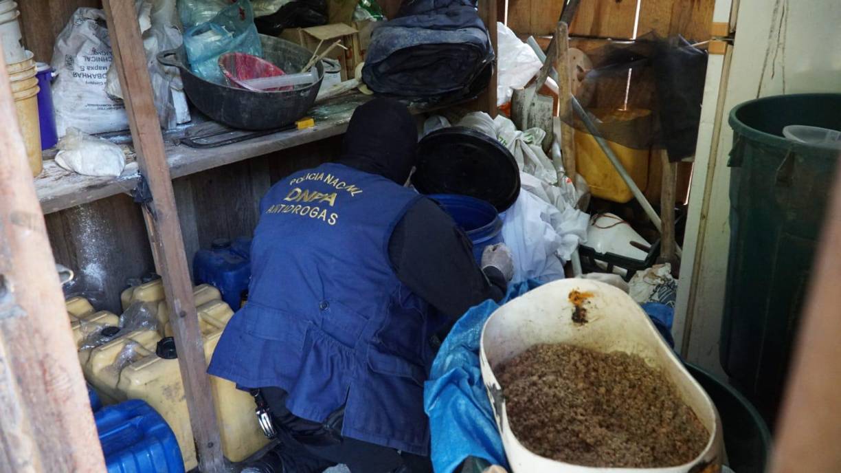 No es la primera vez que encuentran arbustos de Coca en Honduras, en el pasado se encontraron plantaciones en Olancho, El Paraíso y en Santa Bárbara.