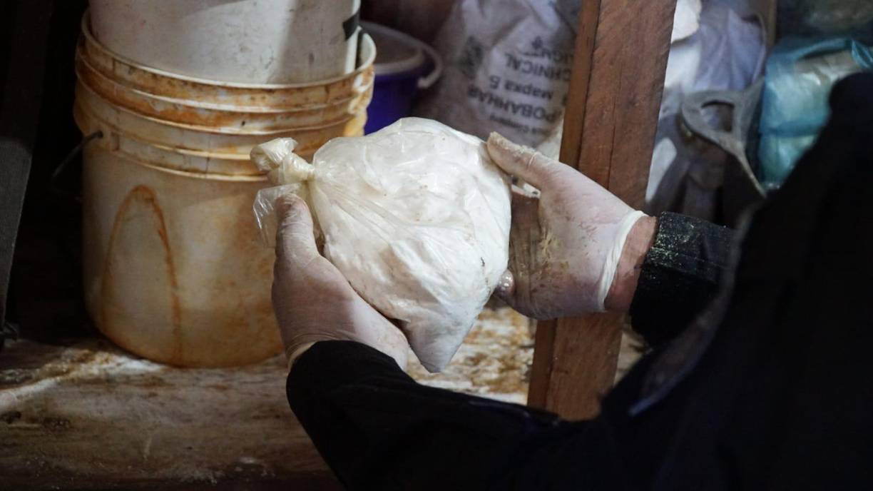 ”hay indicios de fertilizantes, herbicidas que es la forma como buscan que la planta crezca limpia”, detalló Ochoa.
