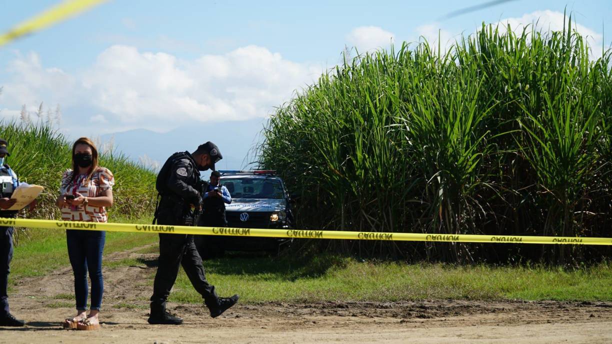 El dantesco hallazgo se registró a cercanías de la colonia Santa Martha, de San Manuel. 