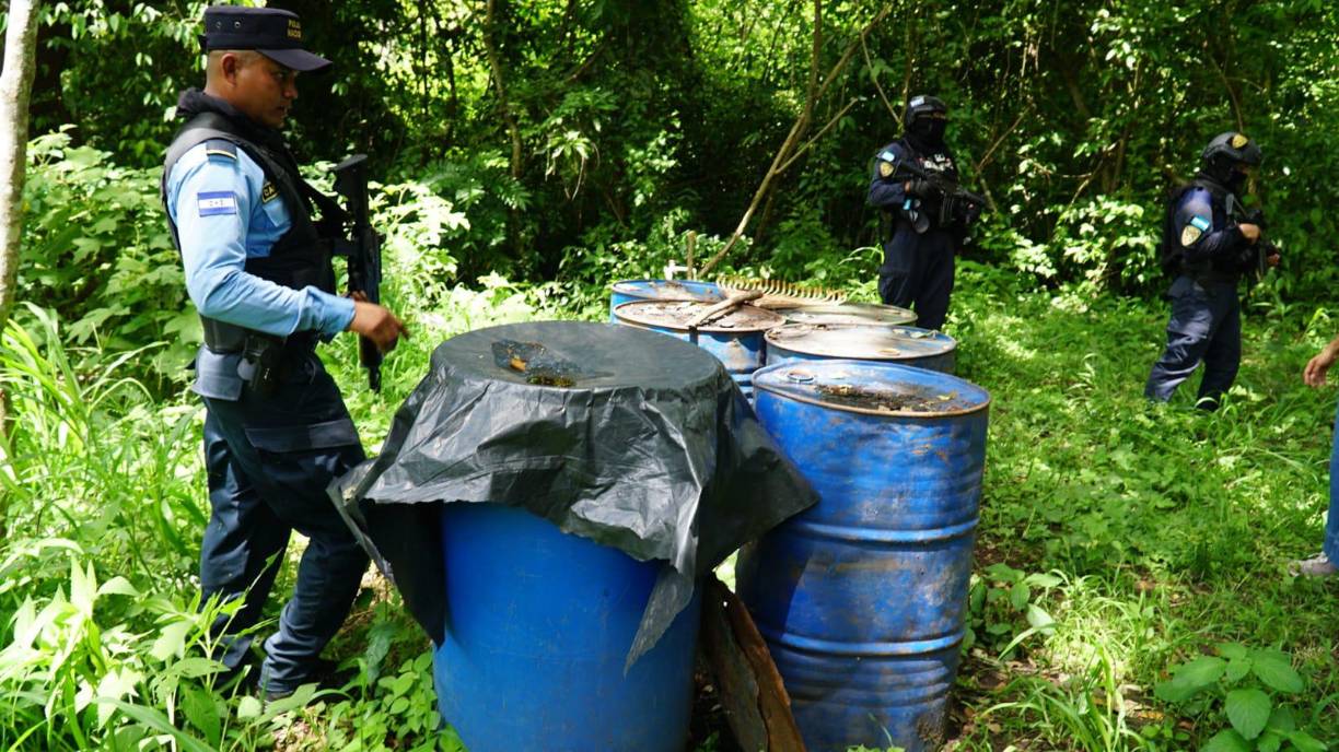 En el lugar se encontraron químicos y biofertilizantes para fortalecer las plantas. De acuerdo a las autoridades los grupos delictivos intimidaban a los pobladores de los sectores a vender sus terrenos para hacer sus plantaciones. 