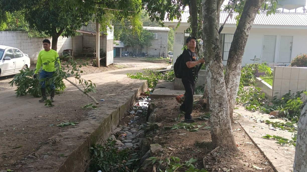 La Santa Misa Parroquial será a las 7:00 pm en la Comunidad de Cristo Salvador del barrio Barandillas 8 Calle 6 y 7 Avenida de San Pedro Sula.