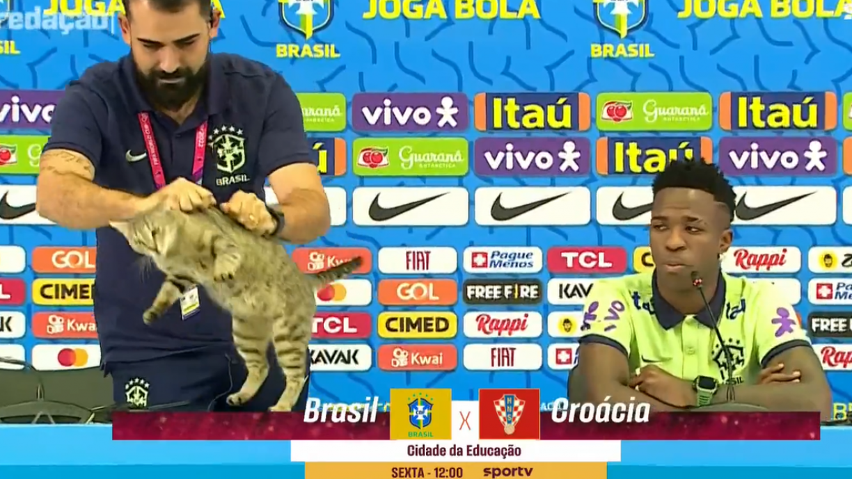 Fue entonces cuando ocurrió la polémica. Mientras Vinicius daba declaraciones, el jefe de prensa de la ‘Seleçao’ tomó con desprecio al gato y lo arrojó hacia el suelo.