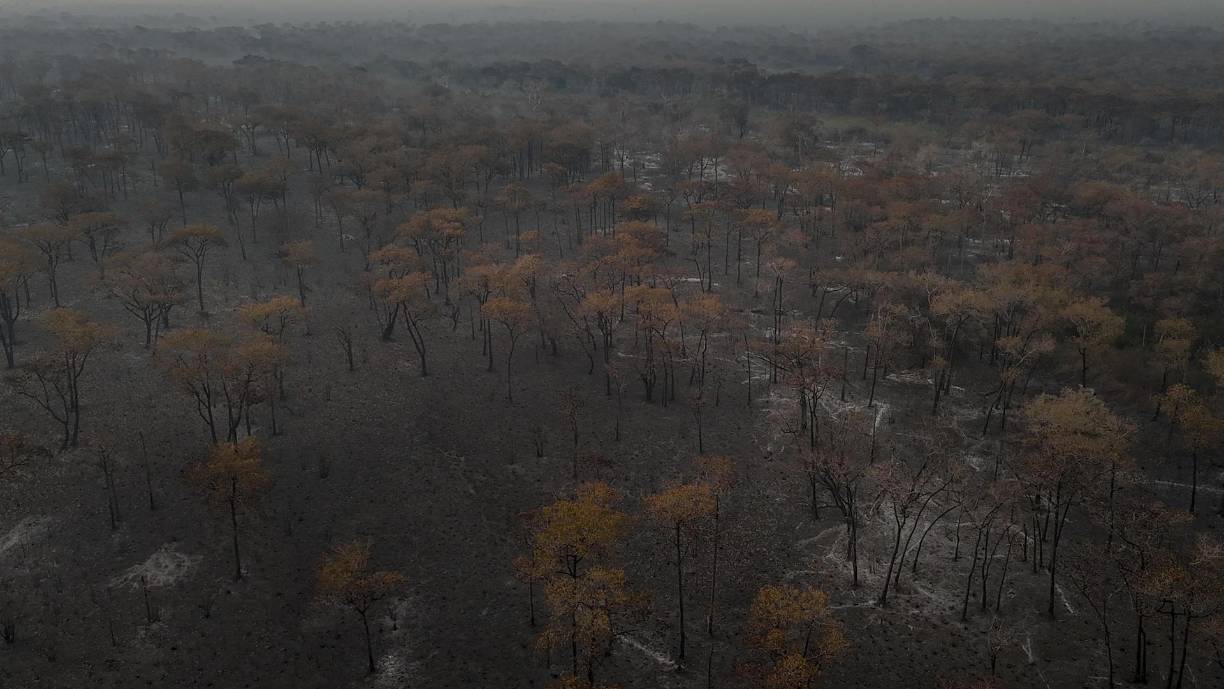 “Toda la cuenca del Paraguay sufre una escasez hídrica severa. No tuvimos las inundaciones habituales ni el intersticio entre El Niño y La Niña”, dos fenómenos climatológicos que inciden en las precipitaciones, dijo. 