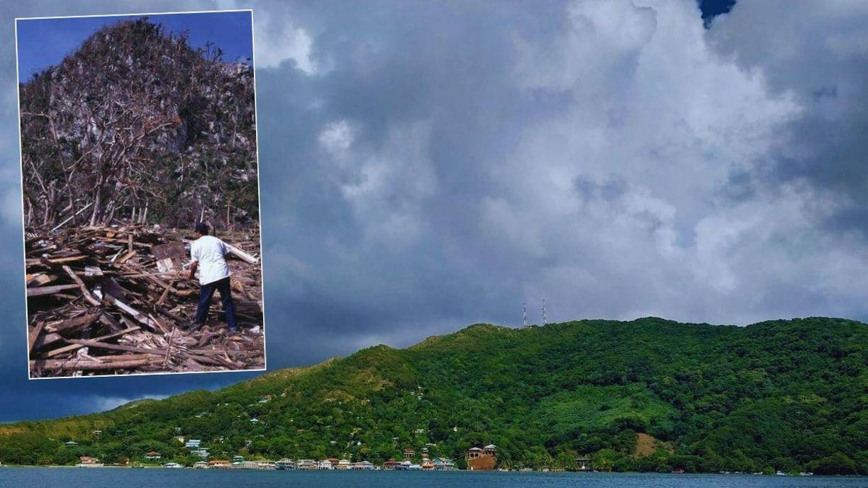 Toda la vegetación y la corteza de los árboles fue barrida por los vientos. Casi todas las casas perdieron el techo. En ocasión de la conmemoración de los 20 años de este trágico acontecimiento un poblador dijo a LA PRENSA: “‘En Guanaja ya vimos el fin del mundo después del huracán Mitch”.