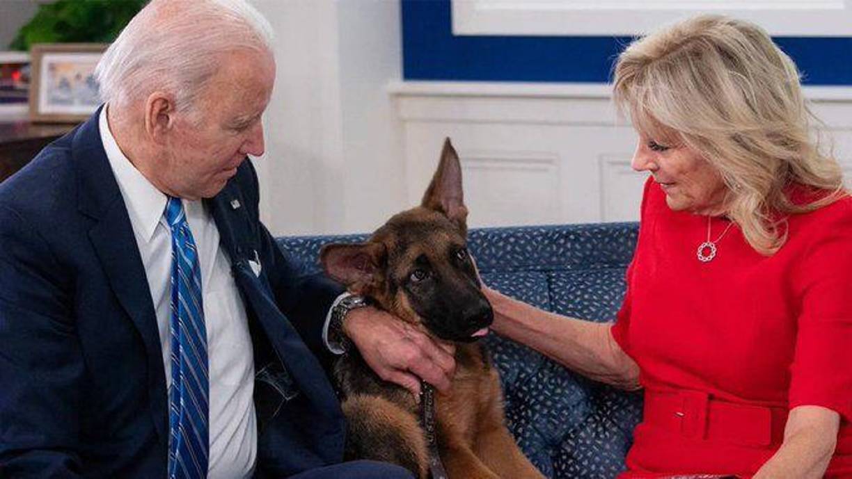 Desde la Casa Blanca se indicó en julio que los Biden estaban contemplando someterlo a un nuevo entrenamiento para controlar la situación, pero este martes la CNN dijo no tener confirmación de si este había tenido lugar.