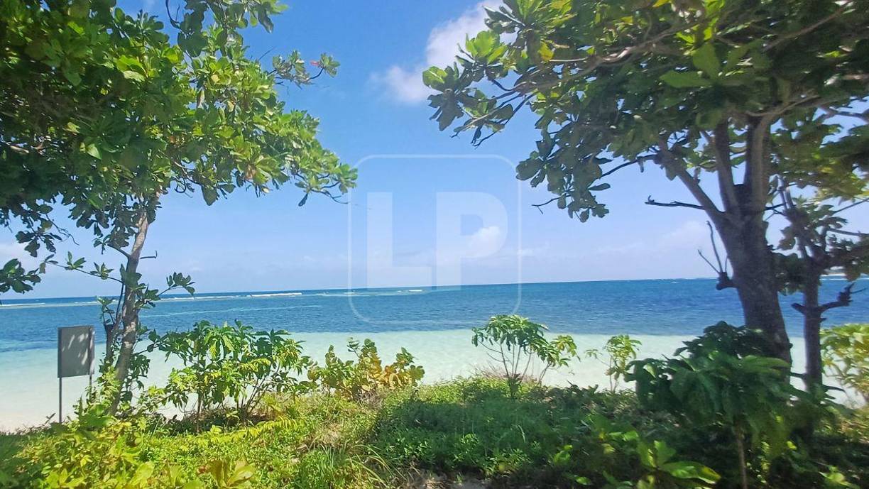 Los arrecifes rodean los Cayos Zapotillos y dan postales hermosas de sus playas de arena blanca y poca profundidad. Estos lugares son propicios para el estudio y avistamiento de muchas especies de aves, muchas de las cuáles, van en tránsito por todo el corredor Mesoamericano.