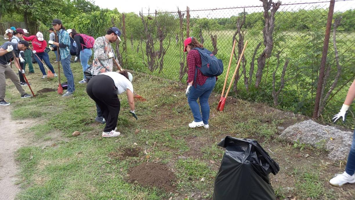 A partir de las 8:00 a.m. las labores comenzaron sobre el bulevar de la 33 calle, a la altura de los juzgados, con la meta de retirar la basura y escombros de 18,000 metros, para posteriormente arborizar la arteria.