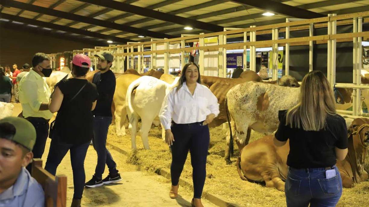 El Campo Agas celebra este año su 54 exposición ganadera, agrícola, comercial e industrial.