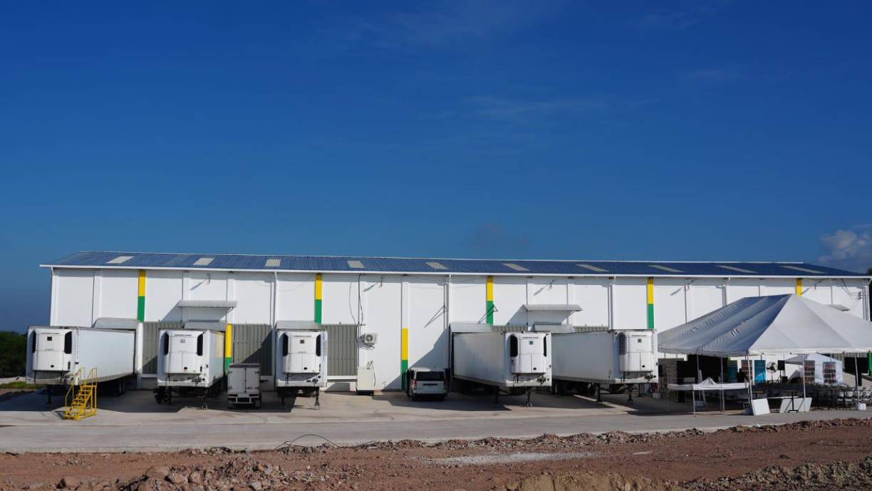 Este es el primer centro de este tipo en el país y en la región Centroamérica, y tiene por objetivo la crianza de unas 50 millones de pupas estériles a la semana, que luego serán propagadas en las fronteras hondureñas para contener la reproducción de la mosca que contiene la plaga del gusano barrenador.