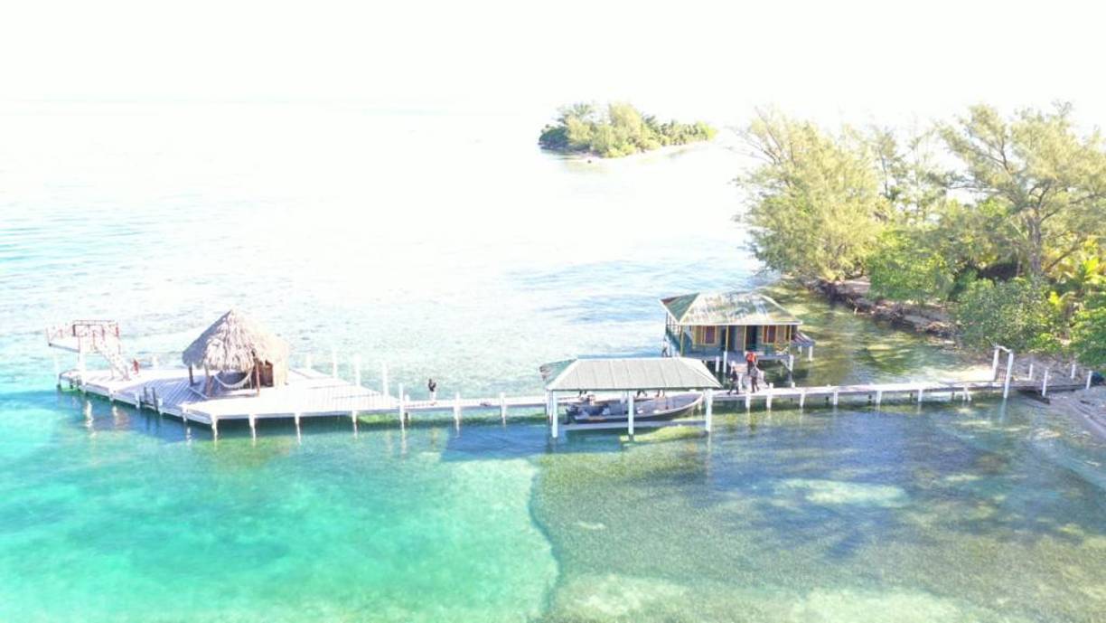 La operación fue contra el hondureño Fredy Donaldo Mármol Vallejo y la estructura que dejó en el país.