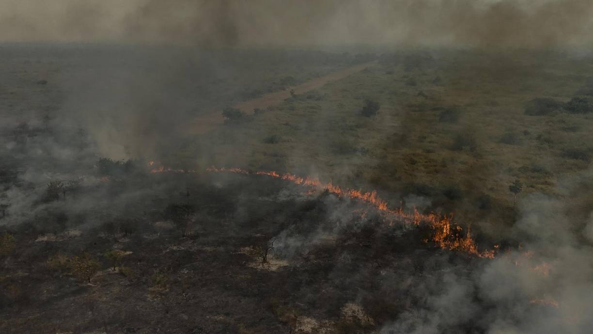 Los incendios forestales alcanzaron niveles récord en el primer semestre en regiones del Pantanal, el mayor humedal del mundo, y la sabana del Cerrado, ambas al sur de la Amazonía. 