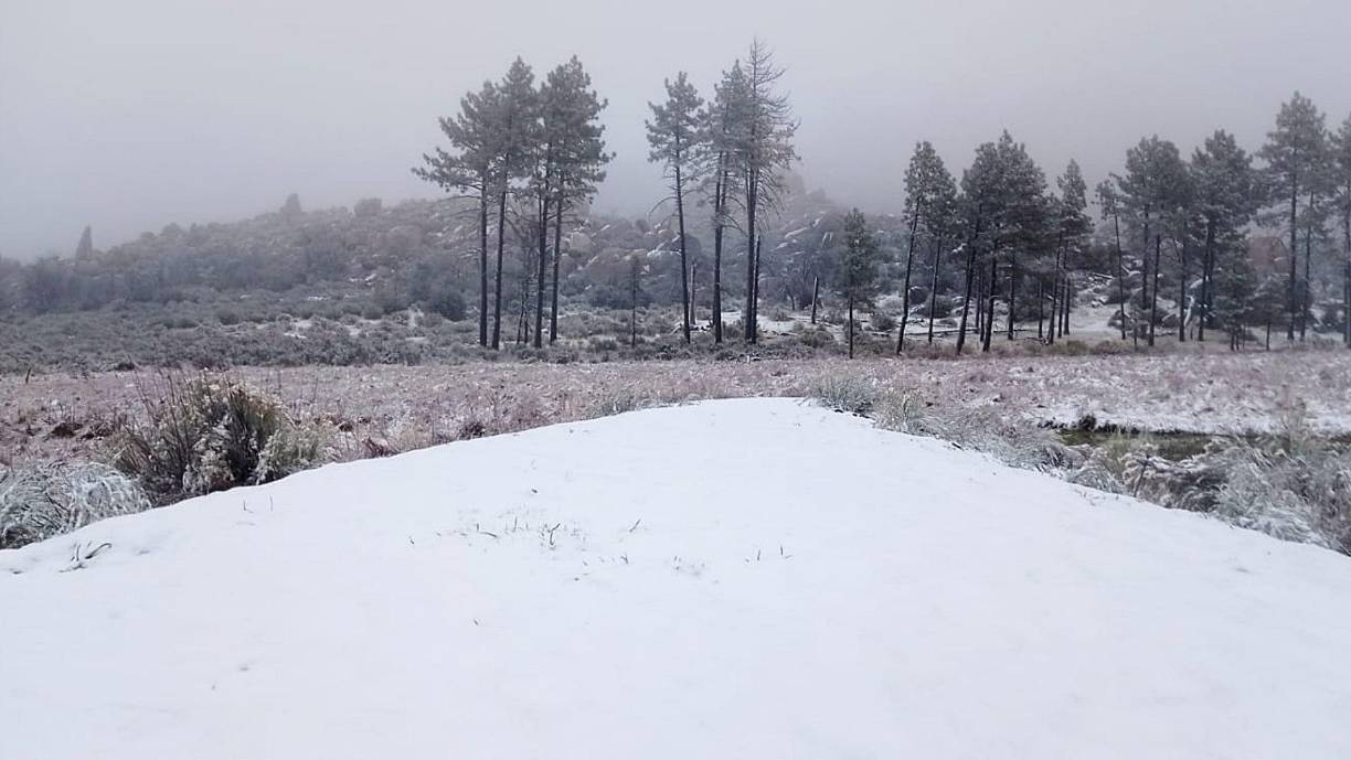 Asimismo, registró que en diciembre de 2024 entraran ocho frentes fríos.