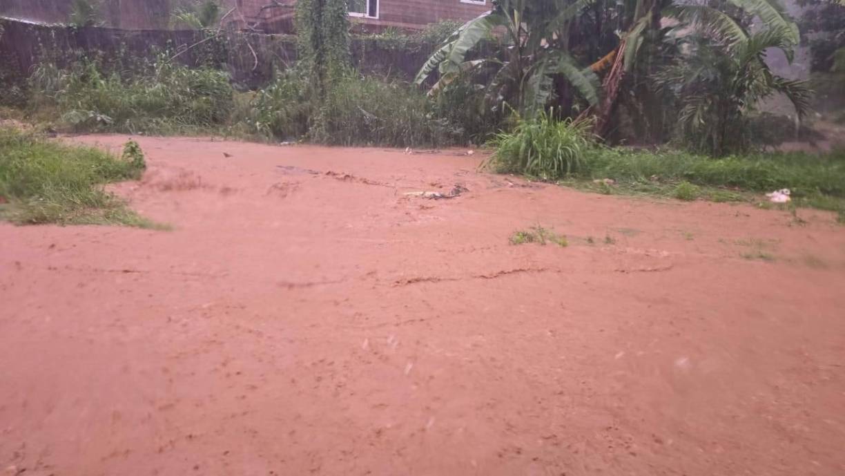 Según los pronósticos, el fenómemo dejaría tormentas fuertes en Islas de la Bahía.
