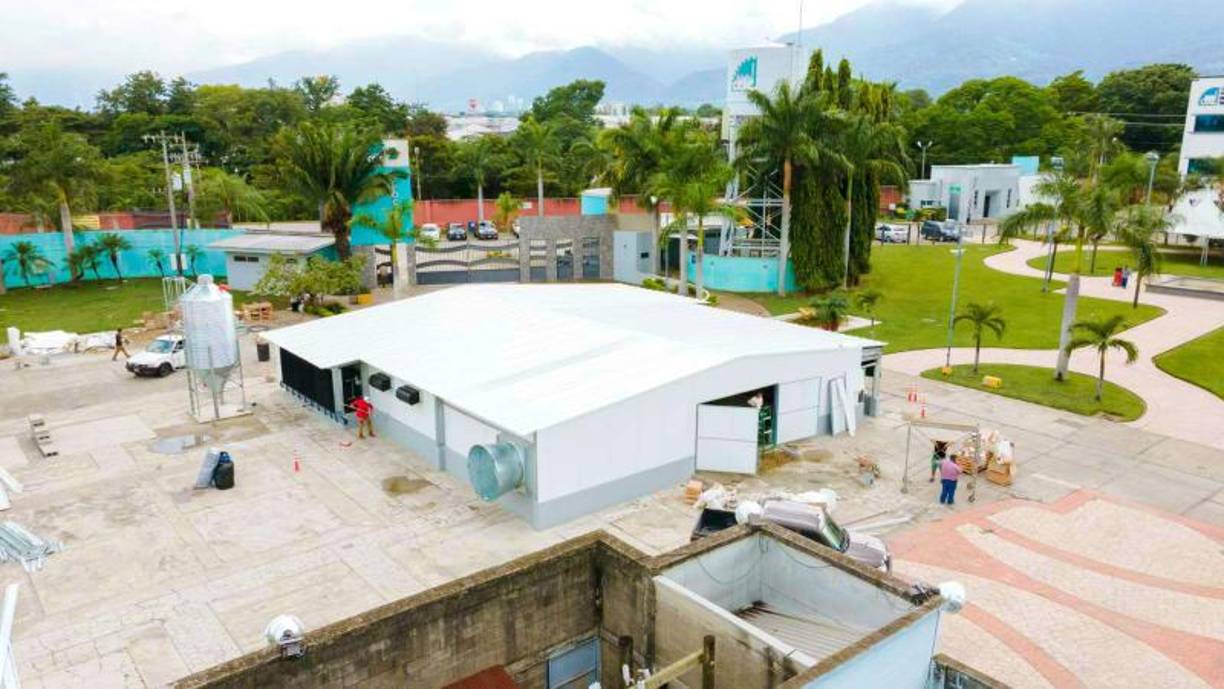 Se conoció que hay quienes se vinieron antes y se irán varios días después porque conocerán diversos sitios turísticos del país.