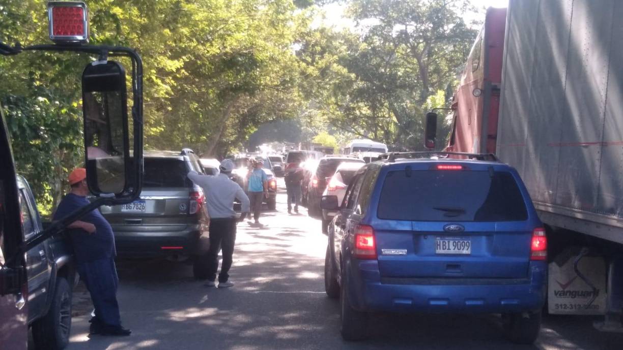 Al menos 1,800 trabajadores reclaman al Gobierno de la presidenta Xiomara Castro que frene las invasiones de los cultivos de la empresa. 