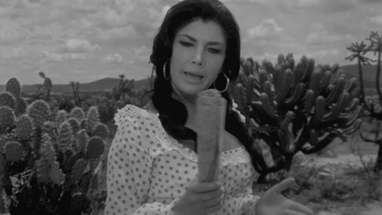 Pero aunque Irma y Gustavo terminaron su amorío, la tensión no acabo allí. La Tigresa contó que la esposa le del exmandatario le hizo la vida imposible comenzado una campaña para que la vetaran en varias producciones, lo que afectó su vida profesional.