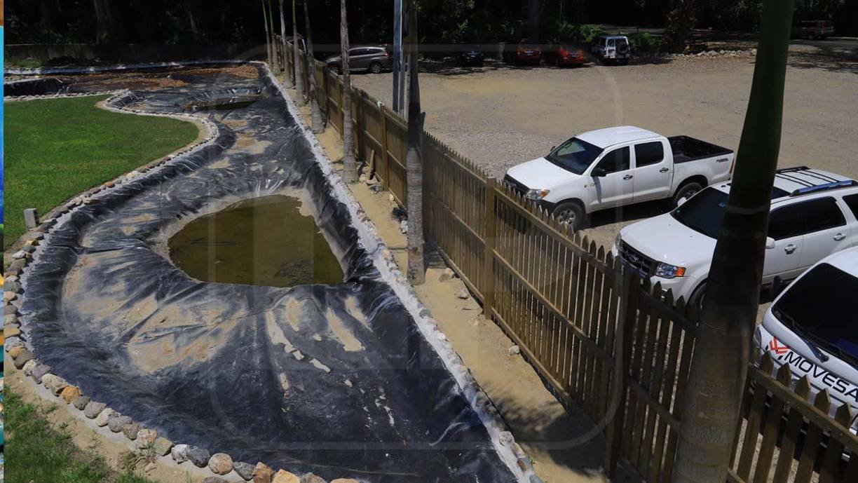Tela Marine encanta con impresionante ecosistema de coloridos peces y criaturas marinas