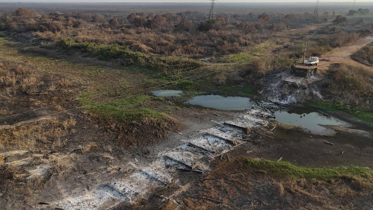 Ya el año pasado, el Pantanal fue el bioma brasileño que más se secó, con una reducción de la superficie húmeda del 61% respecto al promedio histórico, indicó un estudio publicado este miércoles por la red MapBiomas. 