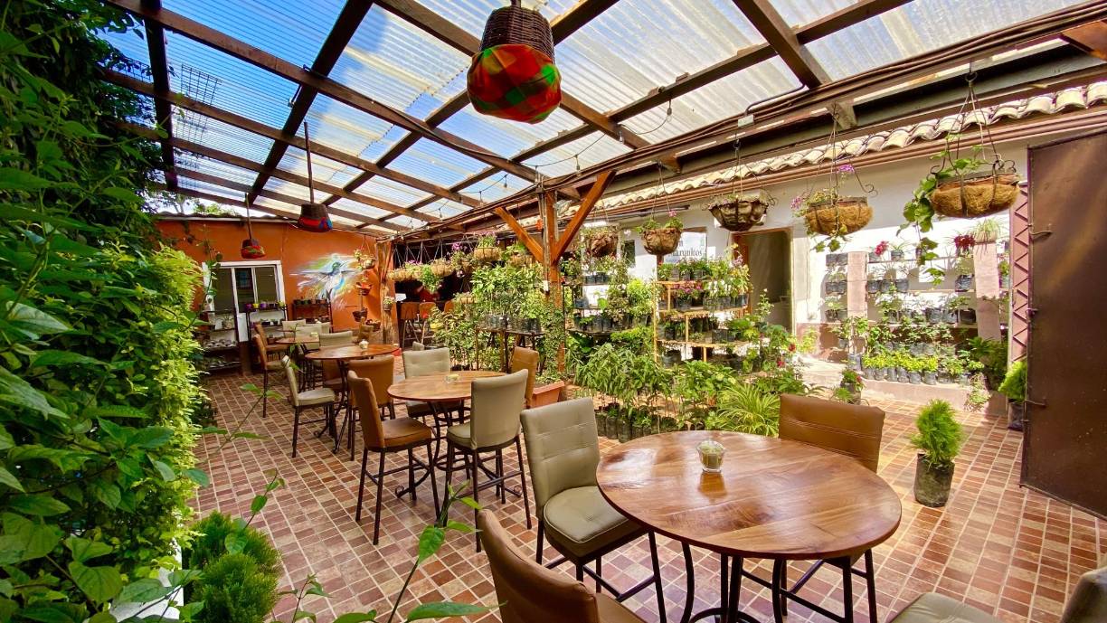 Experiencia de Cafeterías y restaurantes, haga un recorrido por las cafeterías Gracias y aprenda sobre el proceso de producción del café hondureño. Café y Jardín Don Marquitos es una de las más reconocidas de Gracias, Lempira.