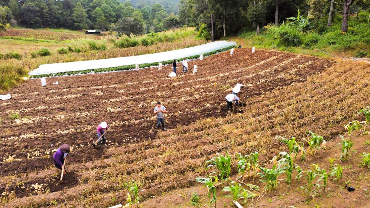 En comunidades como Chiligatoro, agricultores vestían de camisa manga larga, suéter, gorro, jeans y sus respectivas botas.