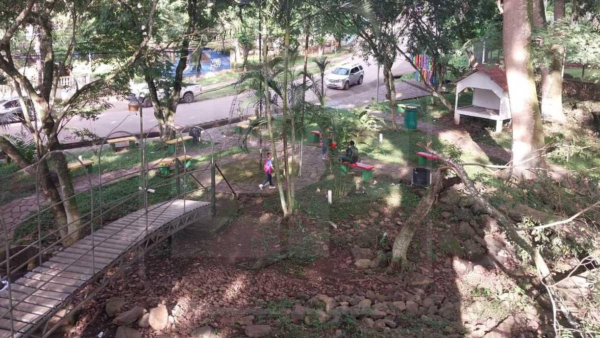 El enorme árbol tiene un mirador, al que se puede ascender sin problemas si se tiene precaución. El panorama es relajante