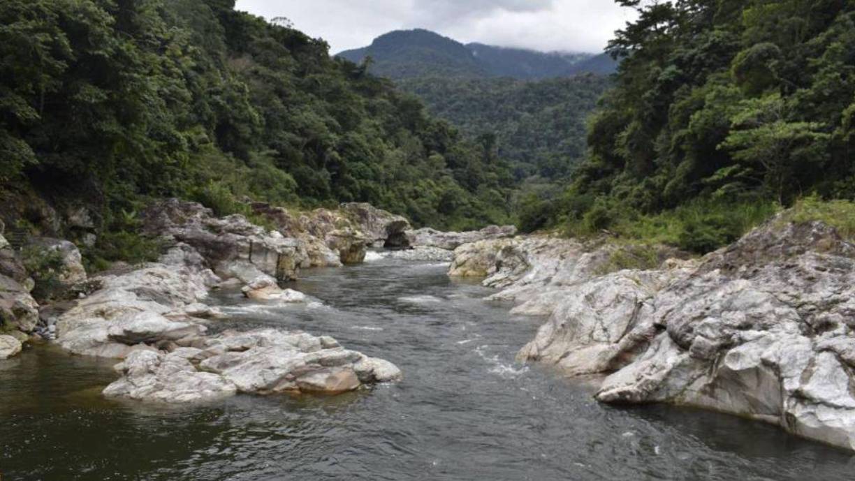 <b>Río Cuyamel: </b>Mide aproximadamente 40 km. Pasa por el departamento de Cortés, afectando a comunidades como Cuyamel y áreas cercanas a Omoa. Sus inundaciones suelen impactar cultivos y viviendas en Omoa y sus alrededores, especialmente durante fuertes tormentas y huracanes. 